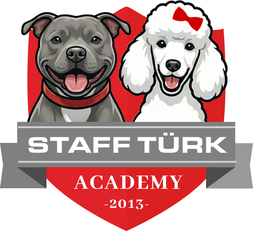 STAFFTURKKENNEL